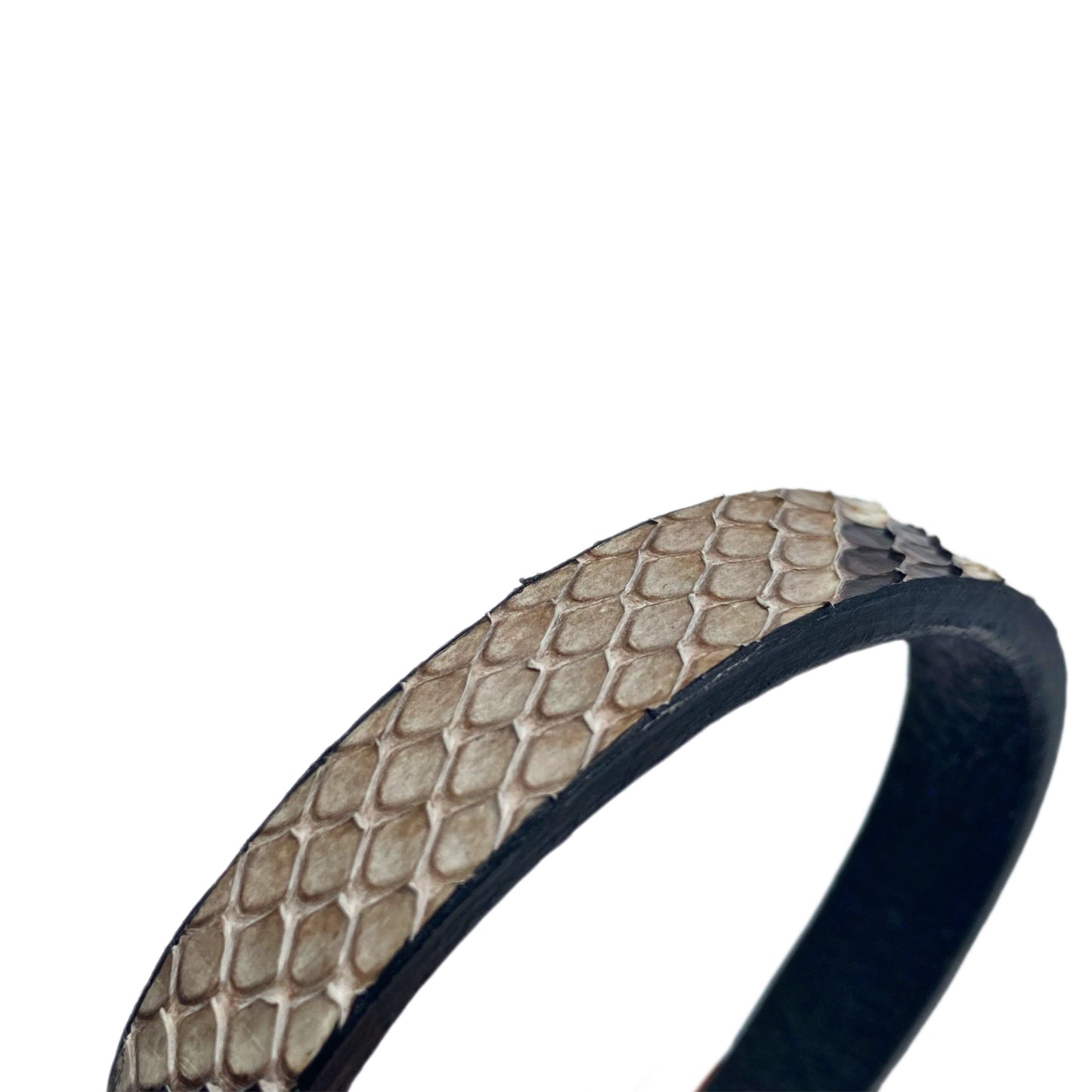 Python on Panther Bracelet